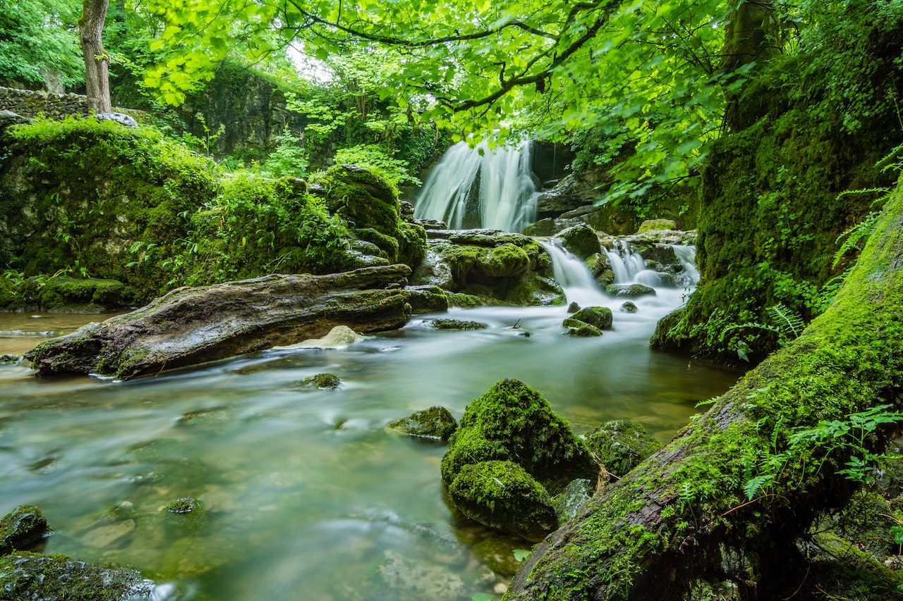 Qu est ce Qu un Groupement Forestier